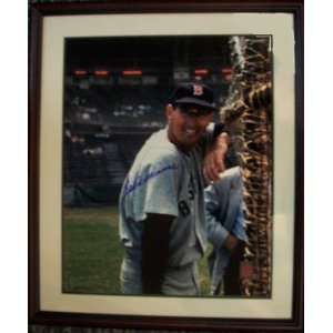   Williams Autographed Picture   Leaning on batting cage 16x20 Framed