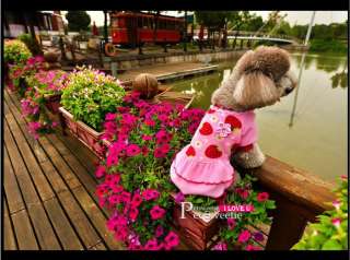 WARM Fleece Fairy lace Strawberry DOG Clothes Cascading dog dress XS,S 