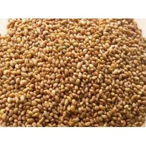 Alfalfa Seed Whole Certified Organic 16oz 1 Pound