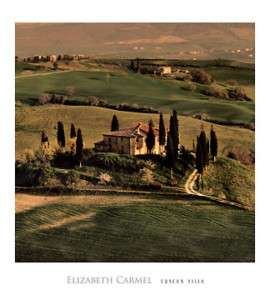Tuscan Villa Carmel Vineyard Wine Italy Print Art  