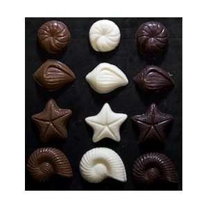 Sea Shell Chocolate Pieces  Grocery & Gourmet Food