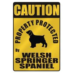 CAUTION  PROPERTY PROTECTED BY WELSH SPRINGER SPANIEL  PARKING SIGN 