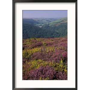  Cosgate Hill, Exmoor, Devon, England Framed Photographic 