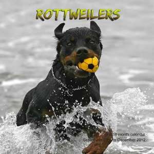  Rottweilers 2012 Wall Calendar #DOG40 (9781617910579 