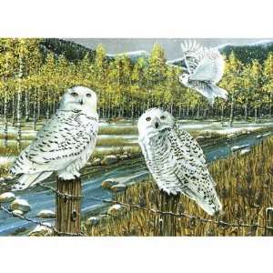  Snow Owl Gathering 1000 pieces   (Puzzles) (Owl 