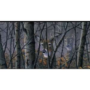 Deer In Woods Wallpaper Border