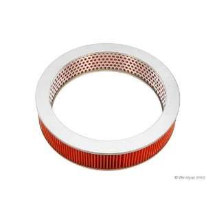  NPN B1000 45496   Air Filter Automotive