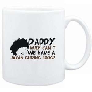   have a Javan Gliding Frog ?  Animals 