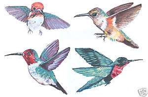 HUMMINGBIRDS 5 CREATIVE ART PROJECT STICKER TATOUAGE  