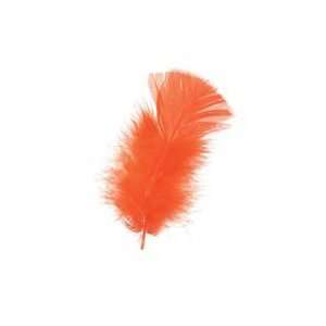  All Purpose Craft Feathers   Orange 14g