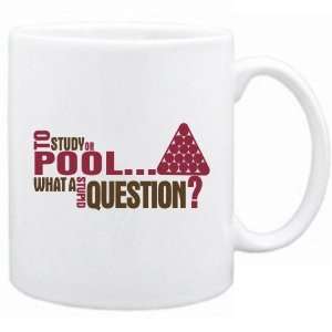  New  To Study Or Pool  What A Stupid Question ?  Mug 