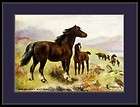 English Picture Print Horse Welsh Pony Mare Foal Art