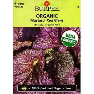  Burpee Organic Red Giant Mustard Seeds   1 gram Patio 