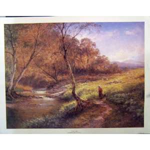  Leader Large Colour Print Landscape Sheep River Trees 