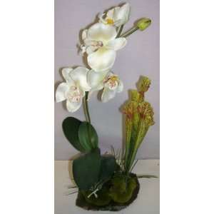 16 Tropical Orchid Arrangement (#1) 