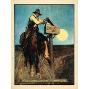   Horseback Riding Mailbox Wyeth Western Horse   Original Color Print