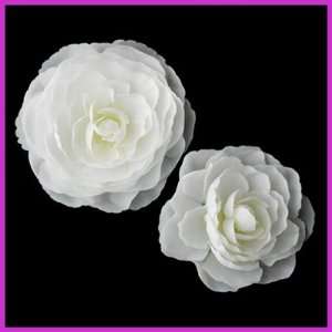  Petite White Buttercup Style Hair Clips Health & Personal 
