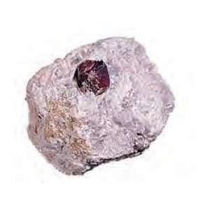  Garnet Rock Mineral Specimen in Mica Schist 3 4 Inch w 