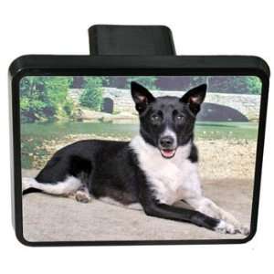  Canaan Dog Trailer Hitch Cover