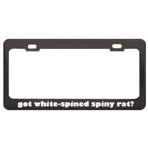 Got White Spined Spiny Rat? Animals Pets Black Metal License Plate 