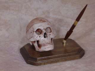 Skull Pen Holder, Halloween Prop, Human Skulls Skull  