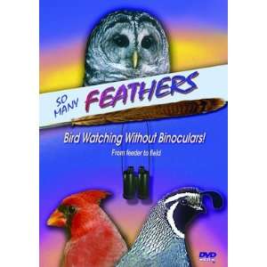 New Maslowski Productions So Many Feathers DVD Compressing A Years 