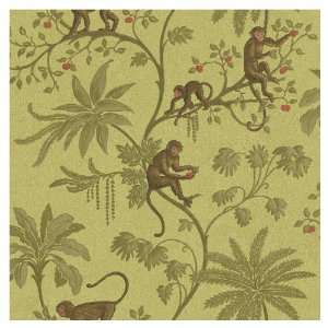  Sunworthy Jungle Of Monkeys Wallpaper CR061671 Baby