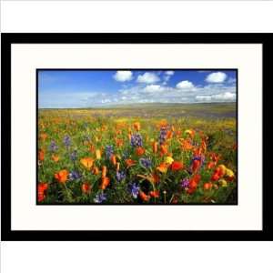  Carrizo Plain National Monument California Framed 