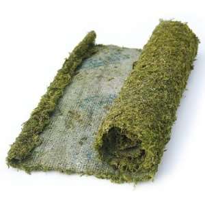Super Moss 22431 1 1/2 Foot by 24 Foot Instant Green All Purpose Moss 