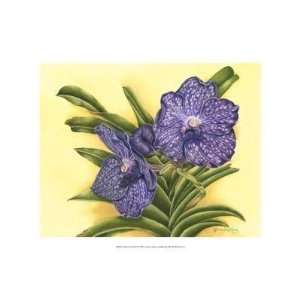  Harry Callahan   Vibrant Orchid III Canvas