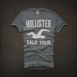 Hollister by Abercrombie Fitch Mens T Shirt Hobson Park Color Gray 