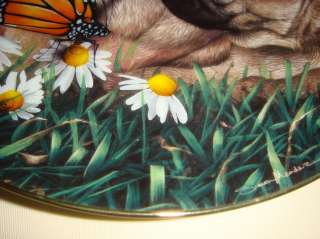Simon Mendez Pugs Butterfly Flowers PUG EYED Plate Cute  