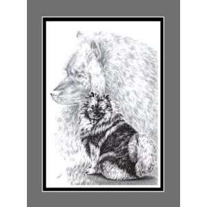  Keeshond Dog Art   Limited Edition Print