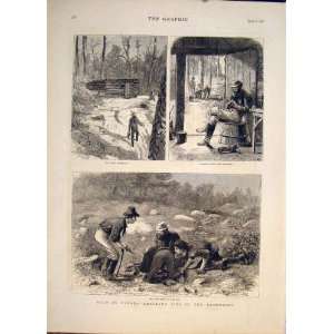    Gold Canada Emigrant Backwoods Old Print 1878