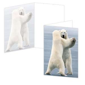  ECOeverywhere Arctic Anniversary Boxed Card Set, 12 Cards 