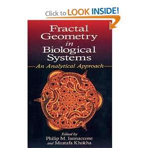  Fractal Geometry in Biological Systems An Analytical 