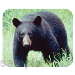  American Black Bear Mouse Pad 