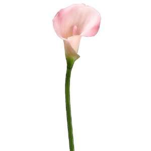  Faux 21 PVC Calla Lily Stem Pink (Pack of 12) Patio, Lawn 