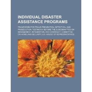  Individual disaster assistance programs framework for 