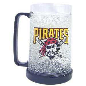  (BSS)   Duck House   Pittsburgh Pirates MLB Crystal 