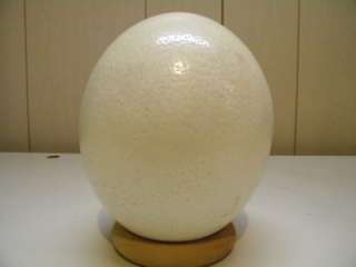 Authentic Empty Hand Painted Art Ostrich Egg on Stand From South 