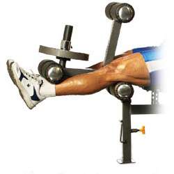 Leg Extension Leg Curl Attachment for Workout Bench  