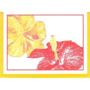  Grow A Note® Hibiscus Cards 4 pack Health & Personal 