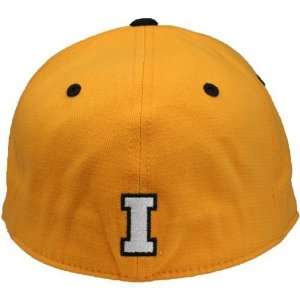  Iowa Hawkeyes Team Color Flex Fit Primary Logo Hat Sports 