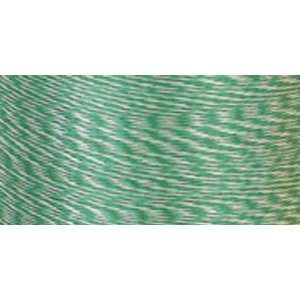   Rayon Color Twist Thread Size 35 200 Yds Mint Green