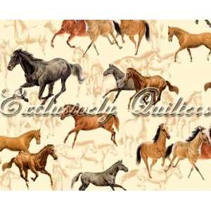   Horses by Exclusively Quilters, Horses on Cream Arts, Crafts & Sewing