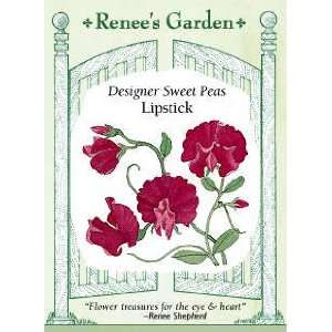  Sweet Pea   Designer Lipstick Seeds Patio, Lawn & Garden