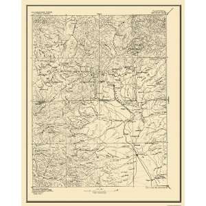  USGS TOPO MAP RED BLUFF SHEET CALIFORNIA (CA) 1894