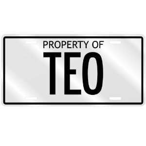  PROPERTY OF TEO LICENSE PLATE SING NAME
