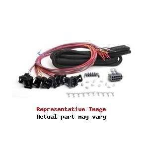  Holley 558 204 Fuel Injection Wire Harness Automotive